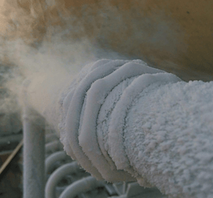 nitrogen consumption