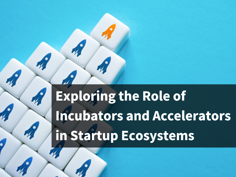 role of incubators and accelerators for startup